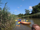 Young campers kayaking.