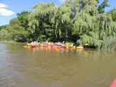 Lots of campers kayaking together.