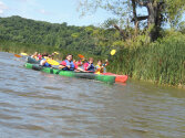 Lots of campers kayaking together.