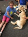 Young camper meeting a guide dog.
