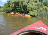 Lots of camper kayaking together.