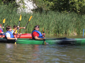 Young campers kayaking.