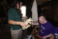 Gonondogan staff showing campers Native American items