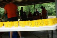 Camp Smile cups lined up on a table